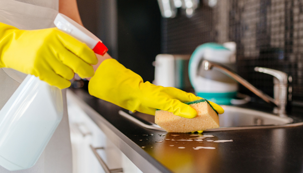 Ménage, bricolage, jardinage, aide administrative, repassage